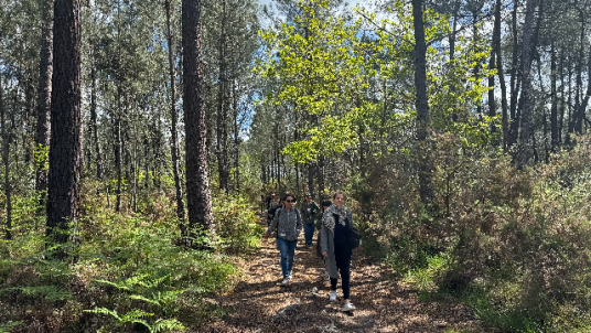 Nouvelle Aquitaine | Afterwork marche et pizzas 🚶‍♀️🌳🍷🍕